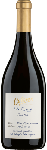 Pinot Noir Lote Especial Altura Máxima Valle Calchaquí