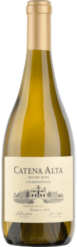 Chardonnay Catena Alta Mendoza Bodega y Viñedos Catena